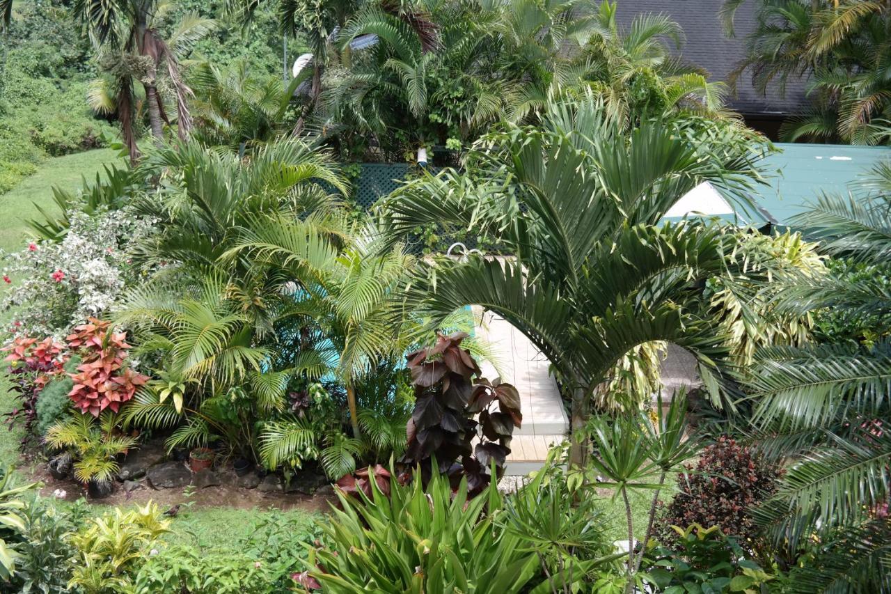 Muri Retreat Apartments Rarotonga Exterior foto
