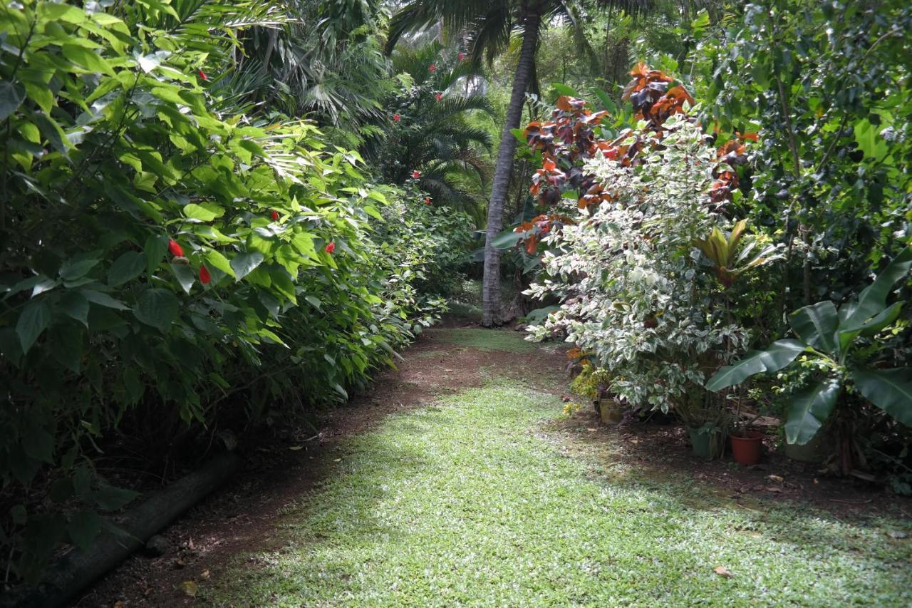 Muri Retreat Apartments Rarotonga Exterior foto
